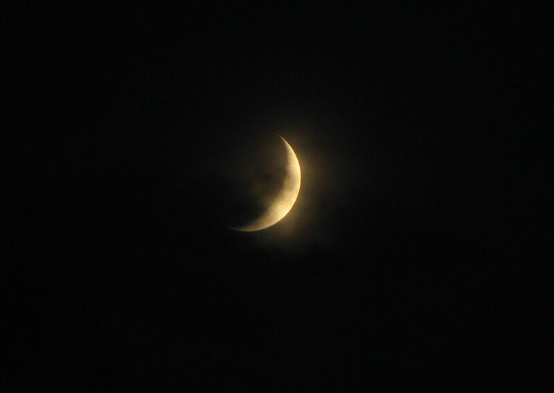 Crescent moon in night sky