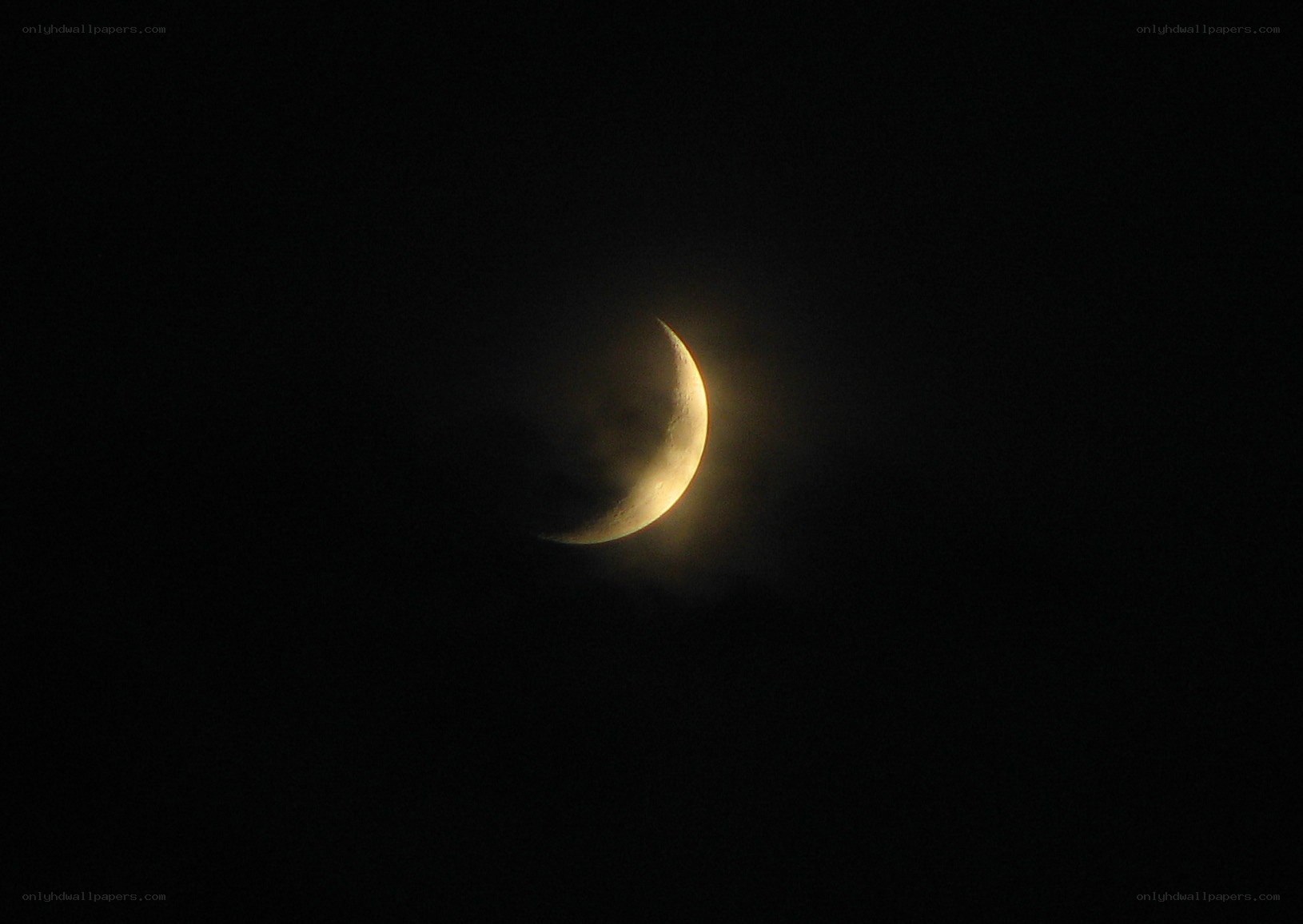 Crescent moon in night sky