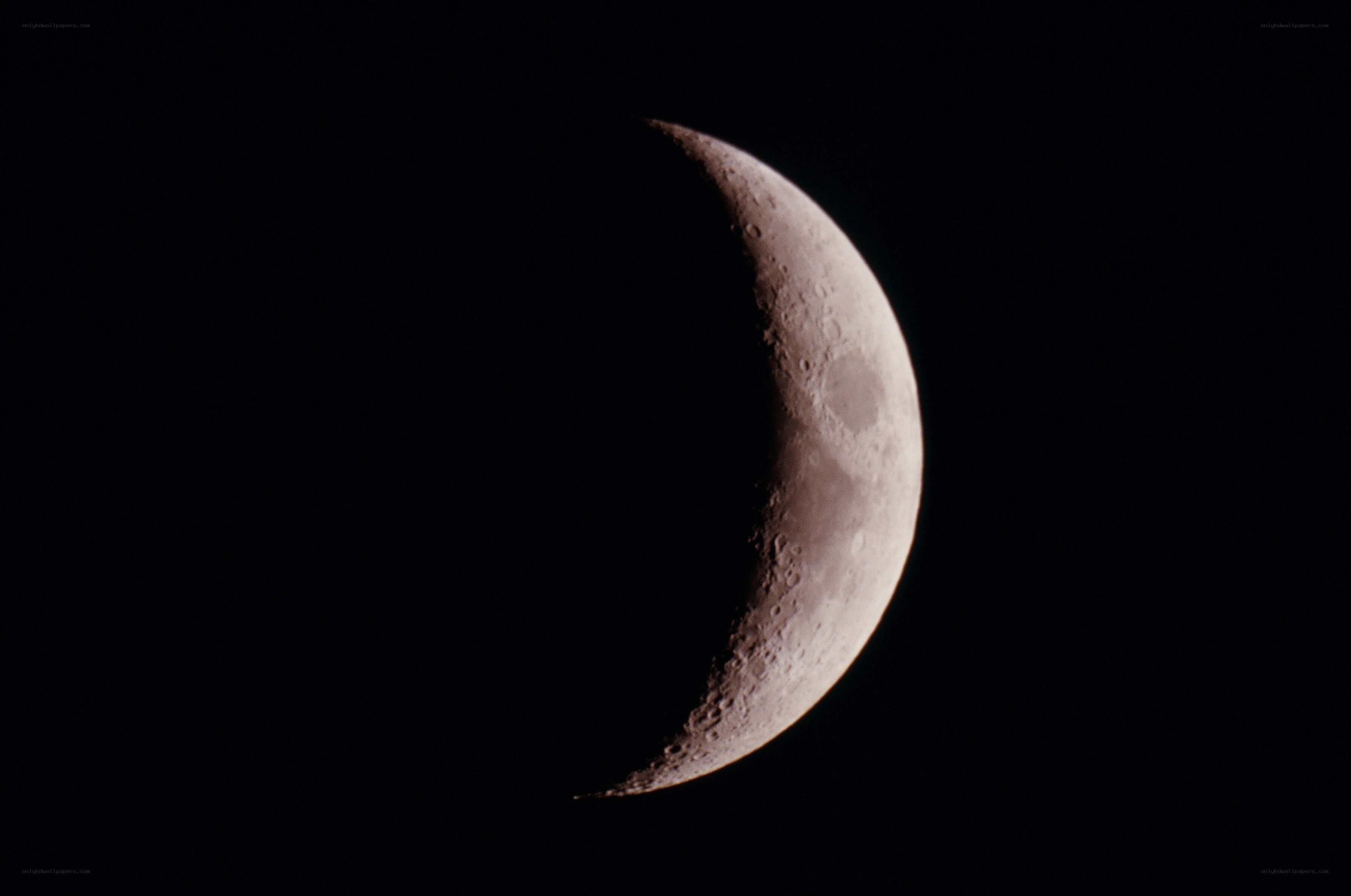 Crescent moon in night sky