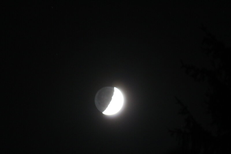 Crescent Moon in Night Sky — Black, Dark