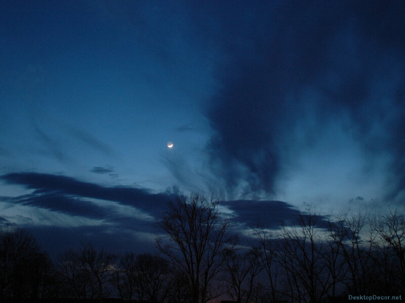Crescent Moon in Night Sky — Blue, Serene, Photograph, Clouds, Trees