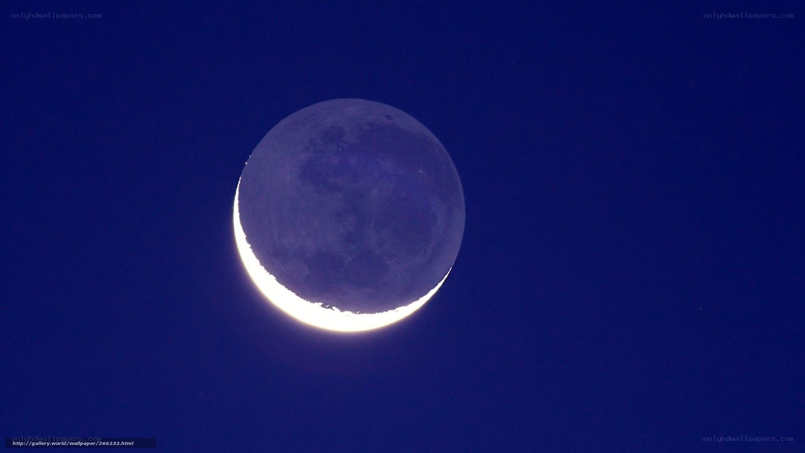 Crescent moon in night sky