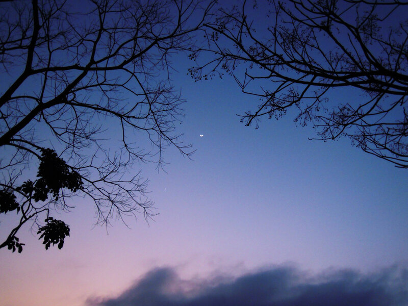 Crescent Moon in Sky — Blue, Serene, Night, Photograph