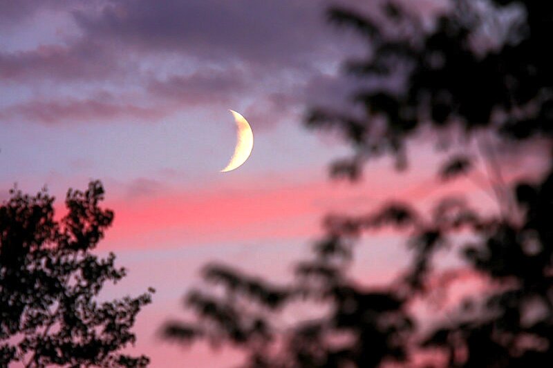 Crescent Moon in Sky — Pink, Serene