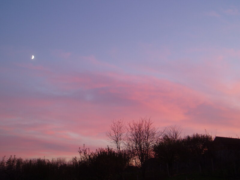 Crescent Moon in Sky — Pink