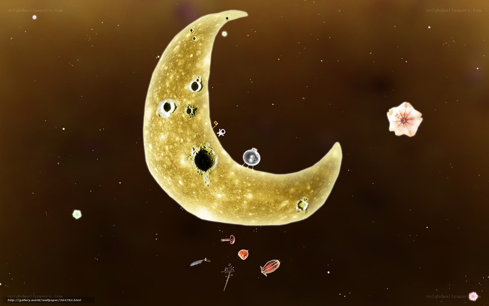 Crescent moon in space