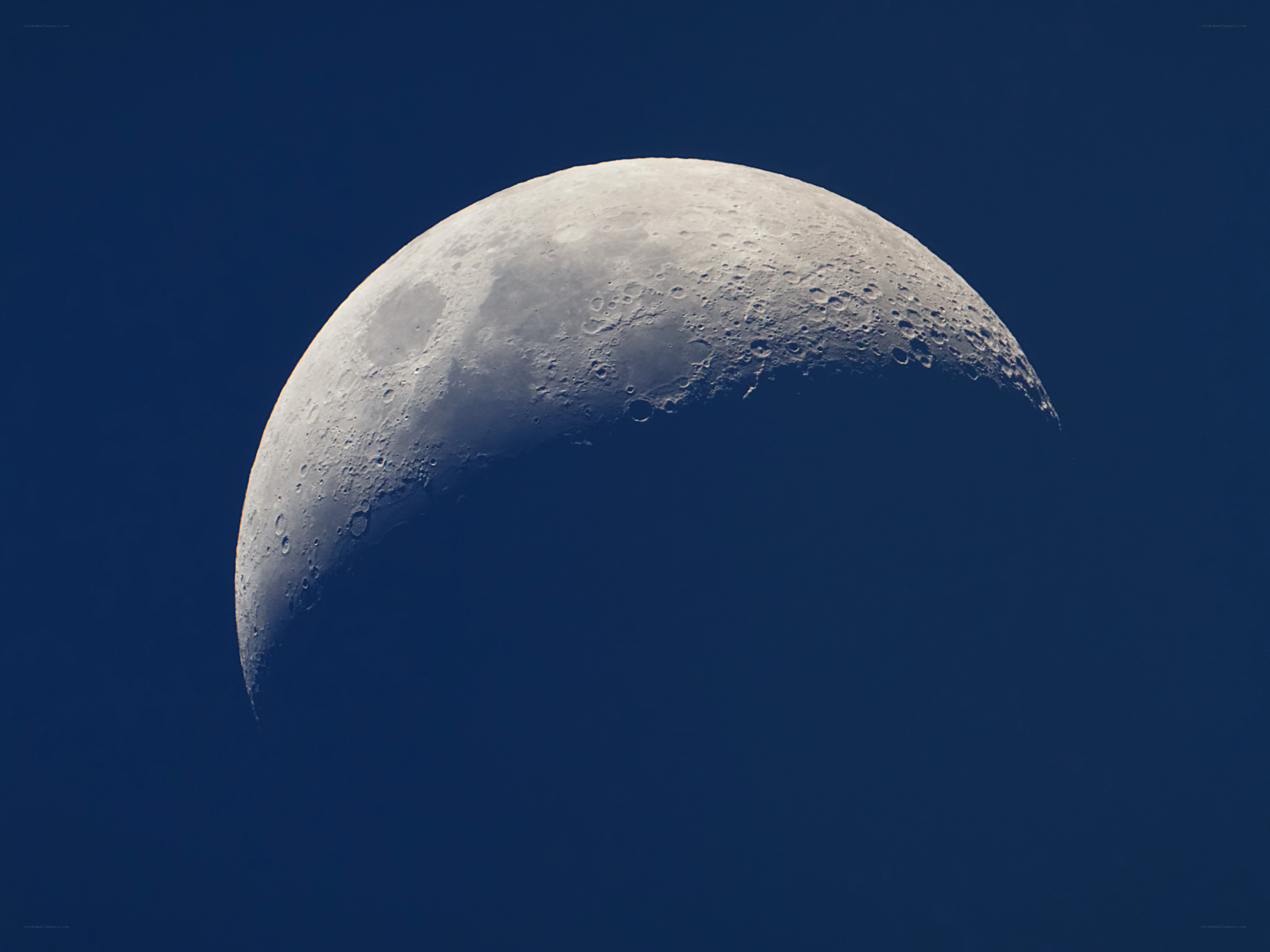 Crescent moon in the night sky