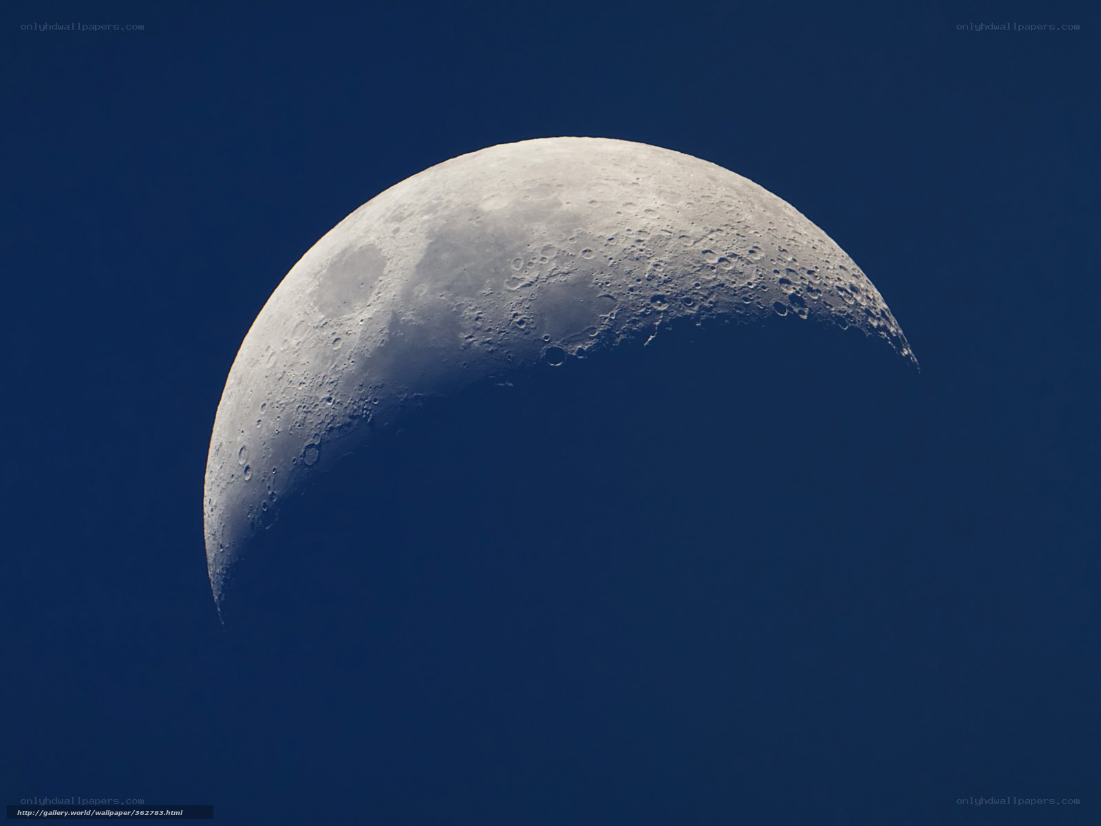 Crescent Moon in the Sky