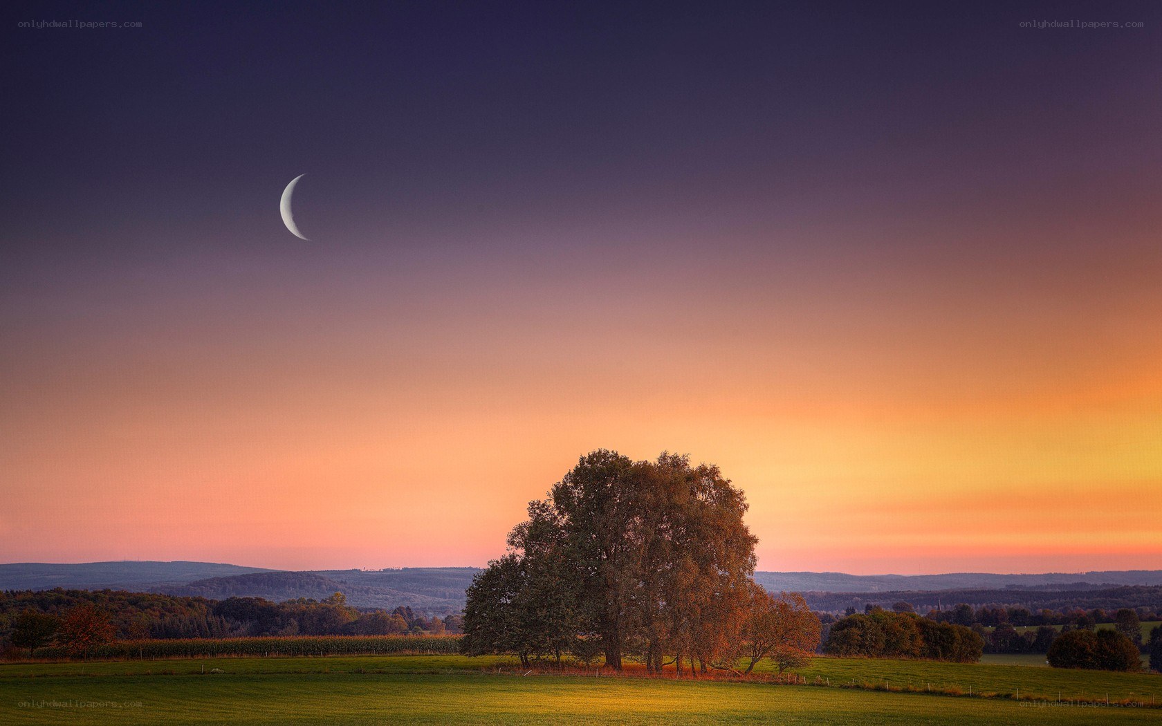 Crescent moon over autumn field