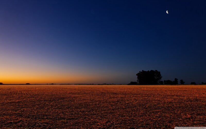 Crescent Moon over Field — Blue