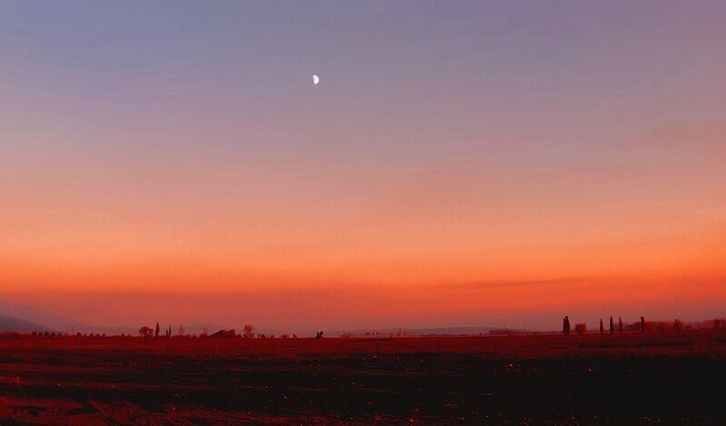 Crescent Moon over Field