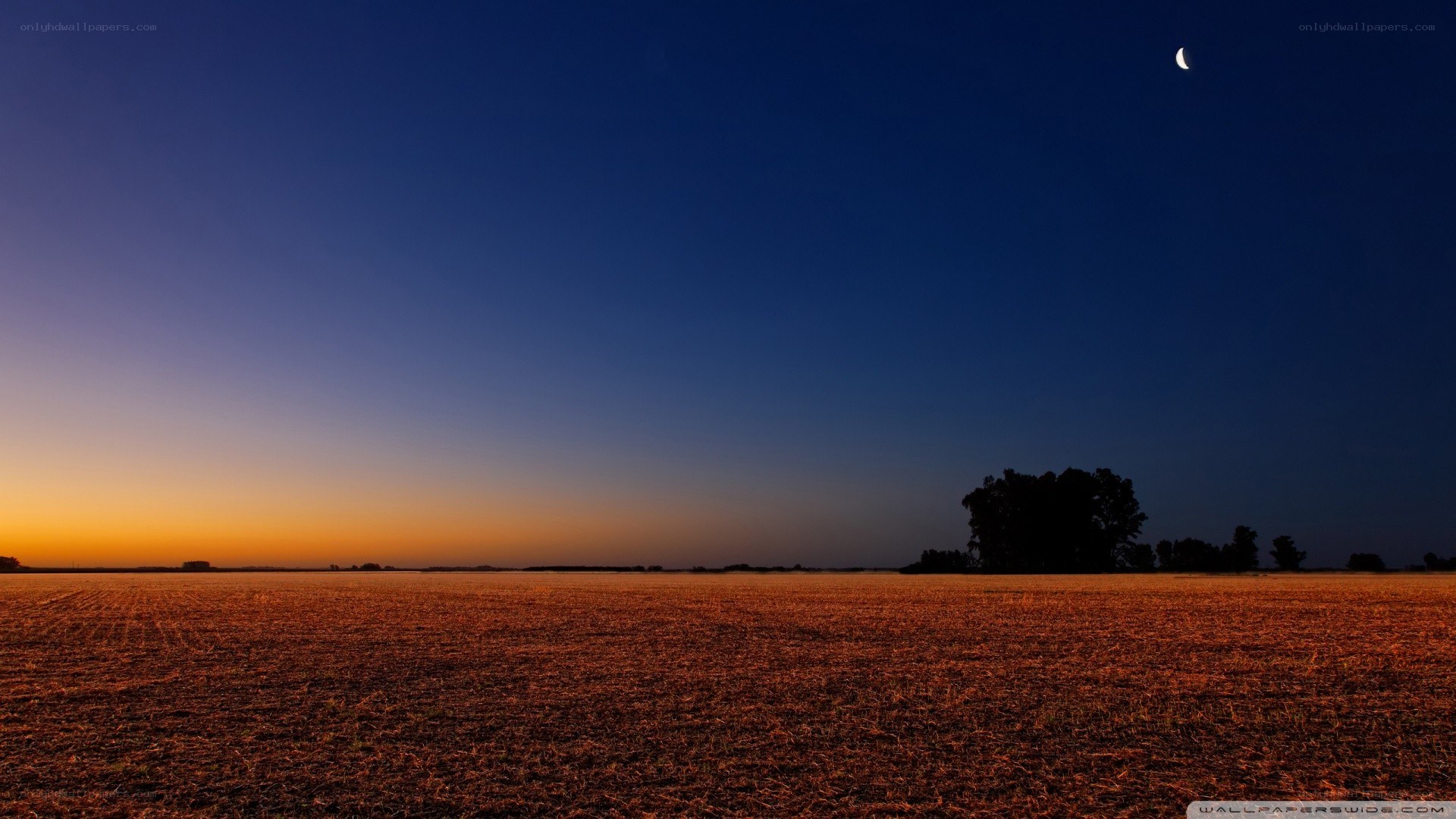 Crescent moon over harvested field