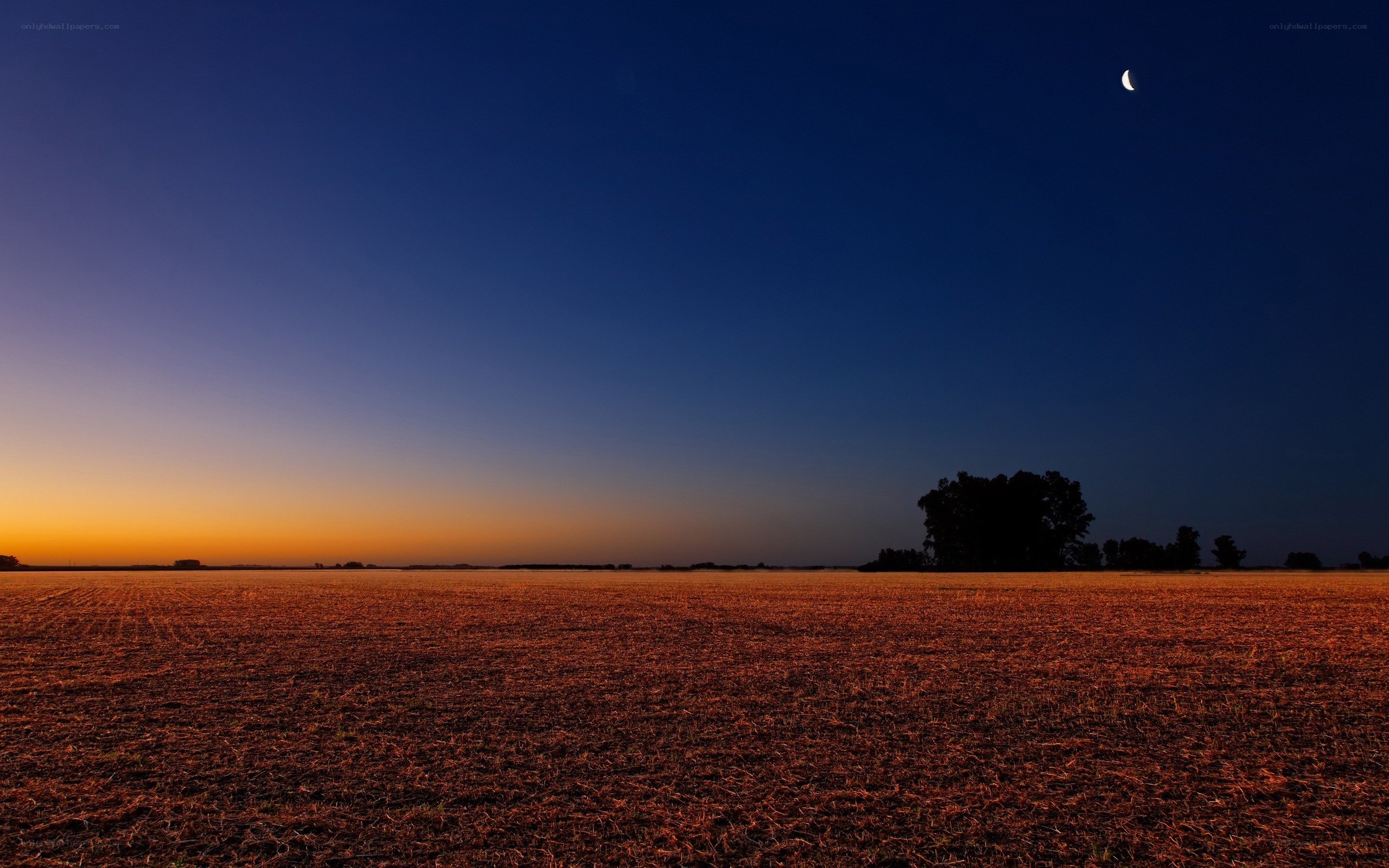 Crescent moon over harvested field