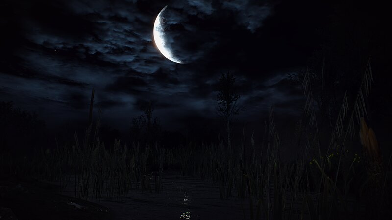 Crescent Moon over Marsh