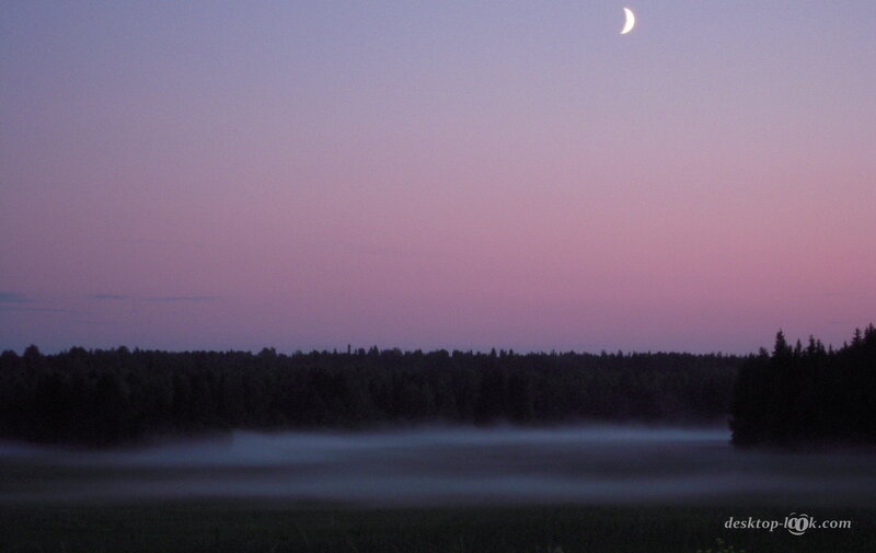 Crescent Moon over Misty Forest