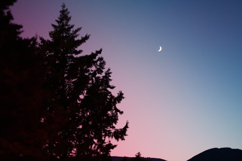 Crescent moon over silhouetted trees