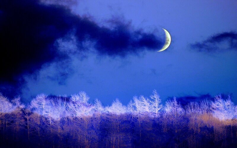 Crescent Moon over Trees — Blue, Dramatic