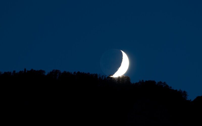 Crescent Moon over Trees — Blue