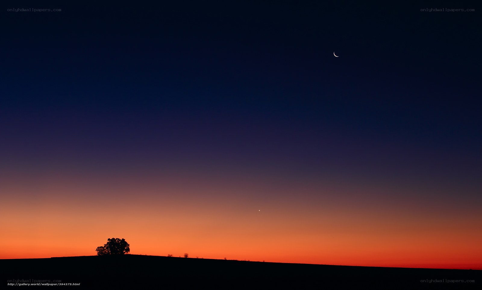 Crescent moon over twilight landscape