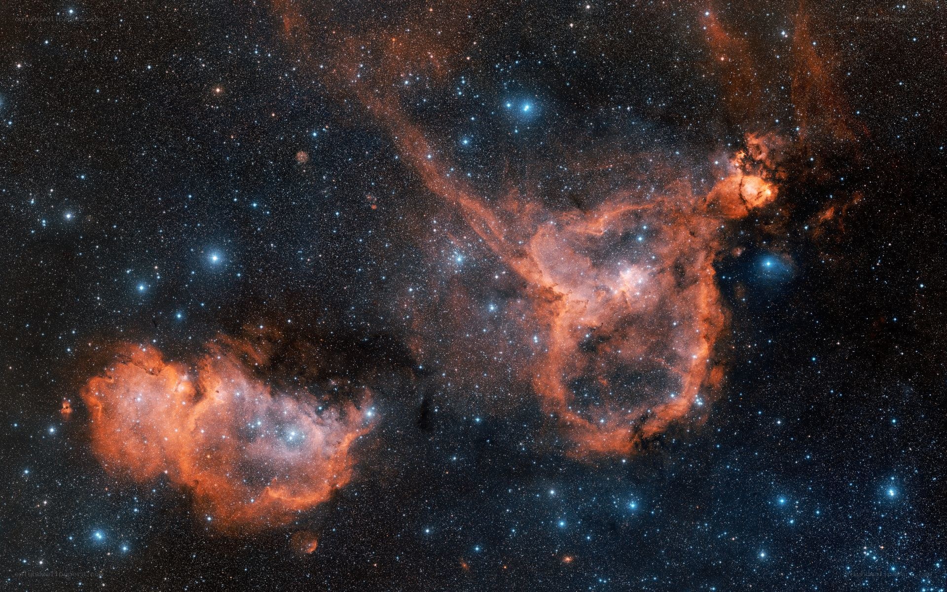 Crescent Nebula and NGC 281