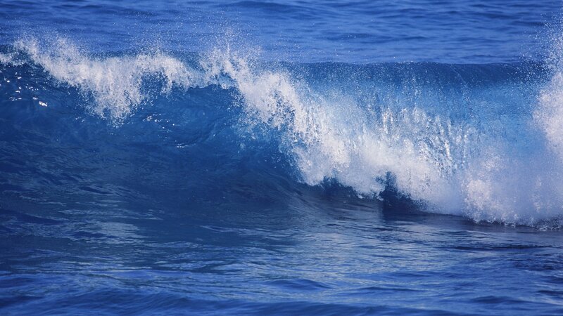 Cresting ocean wave