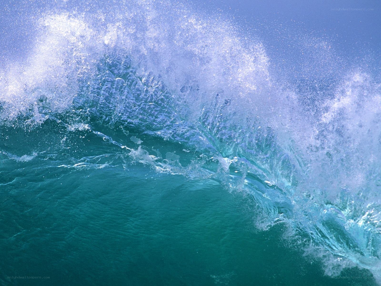 Cresting ocean wave