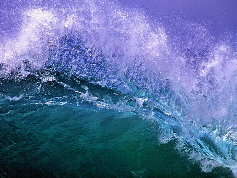 Cresting wave with purple foam