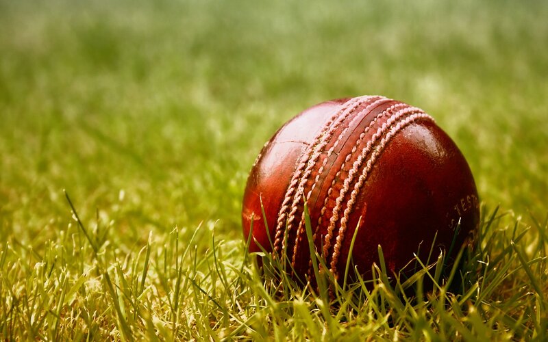 Cricket Ball on Grass — Green