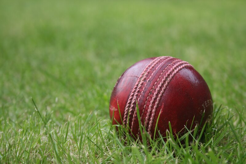 Cricket Ball on Grass — Red