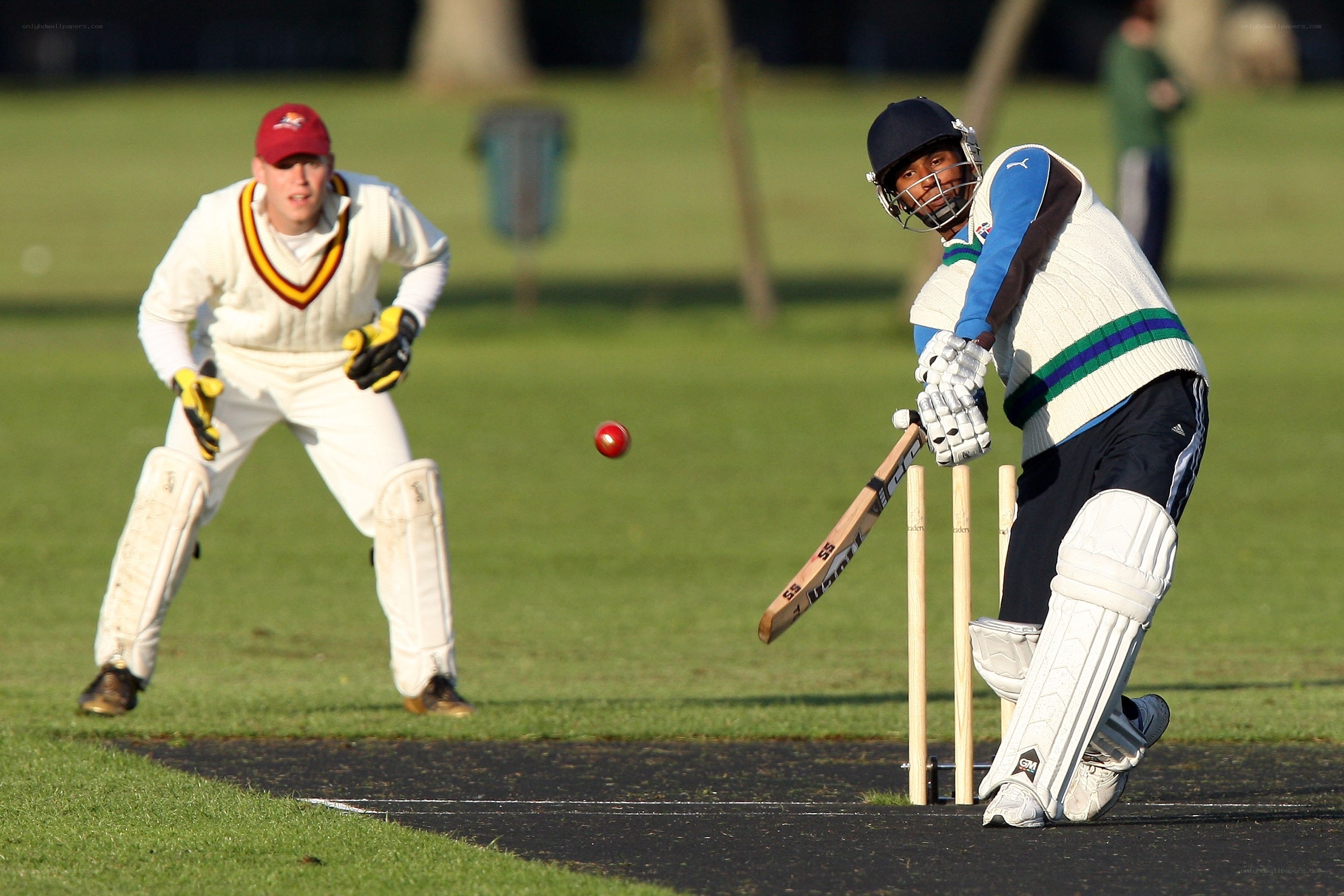 Cricket match in action
