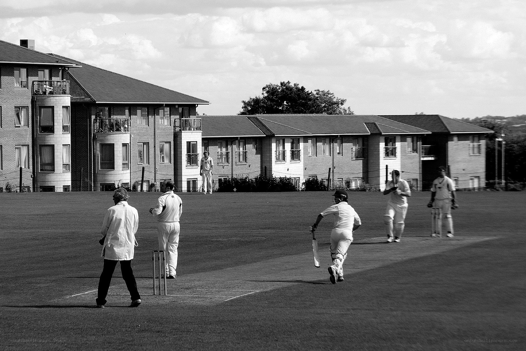 Cricket match in progress