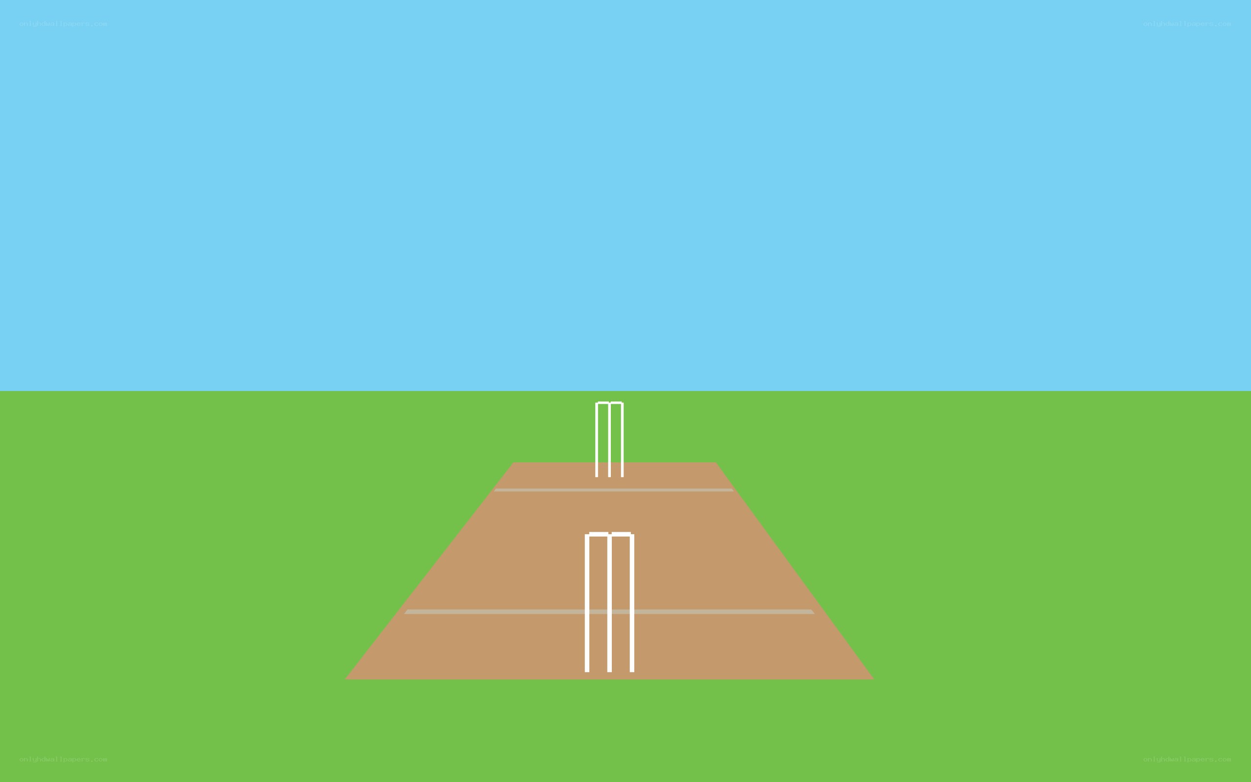 cricket pitch diagram