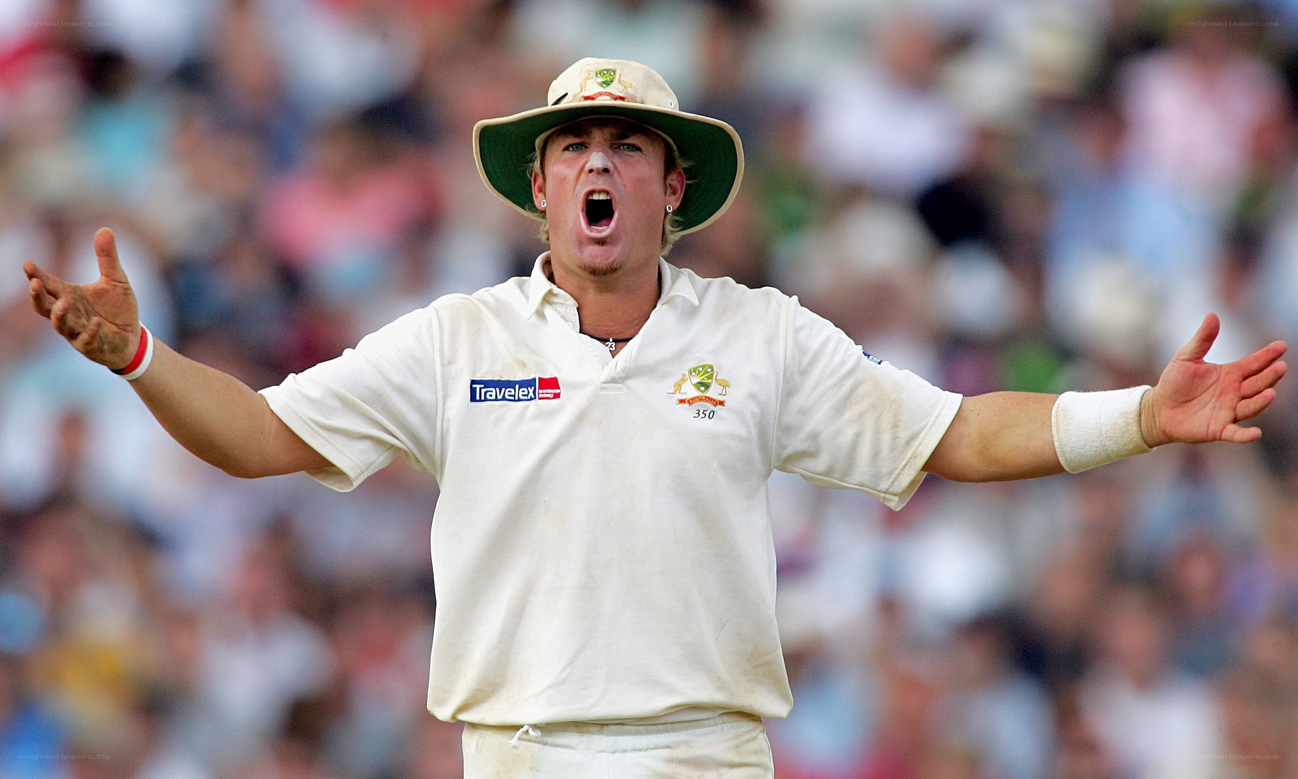 Cricket player celebrating