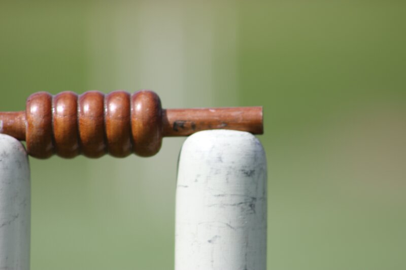 Cricket Wicket