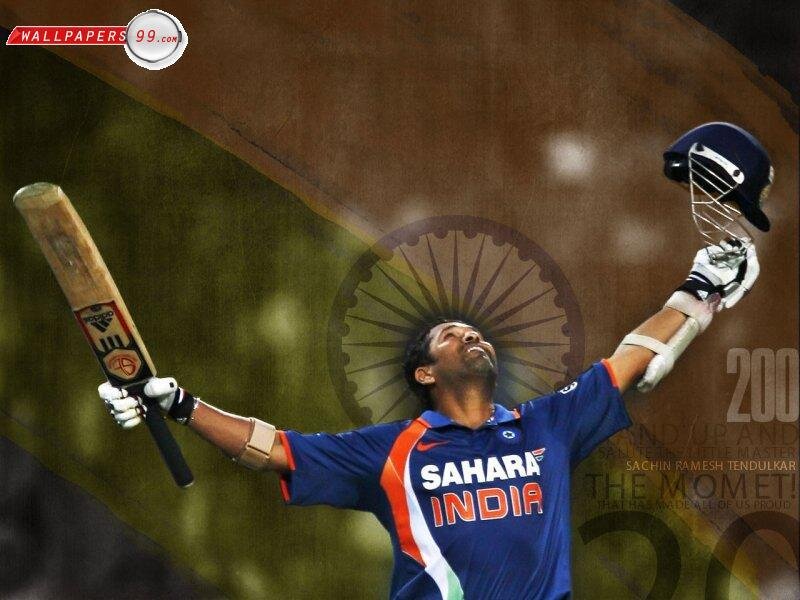 Cricketer Celebrating