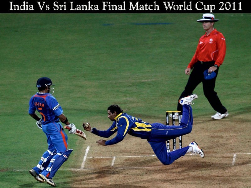 Cricketer Diving for Ball