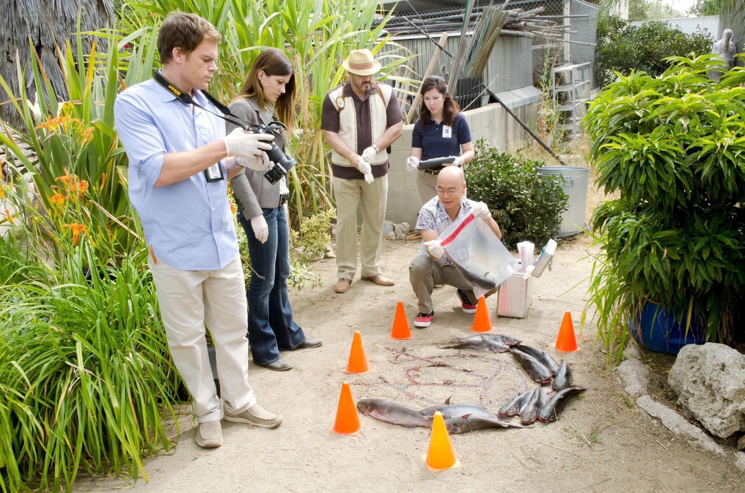 Crime scene investigation with fish
