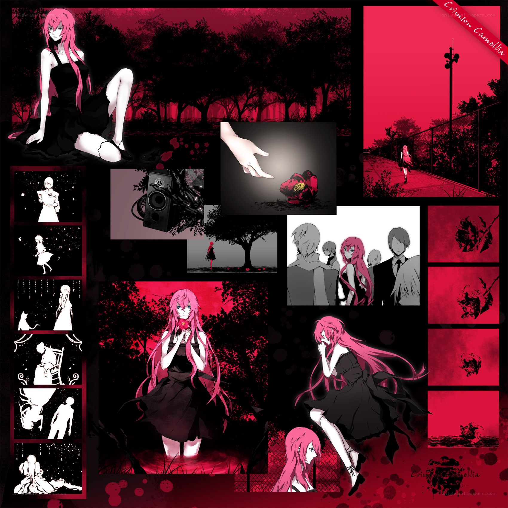 Crimson Camellia collage