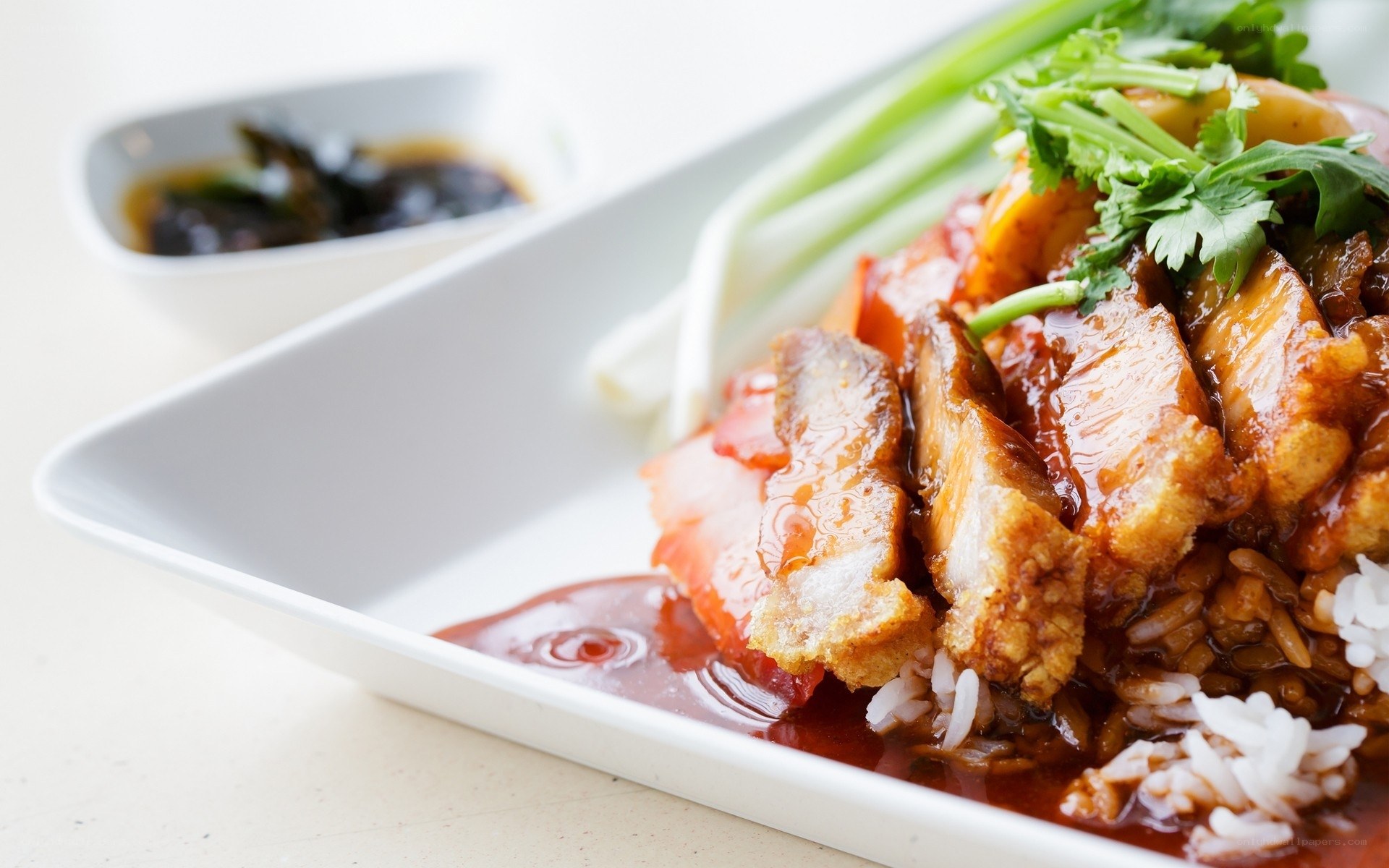 Crispy pork over rice
