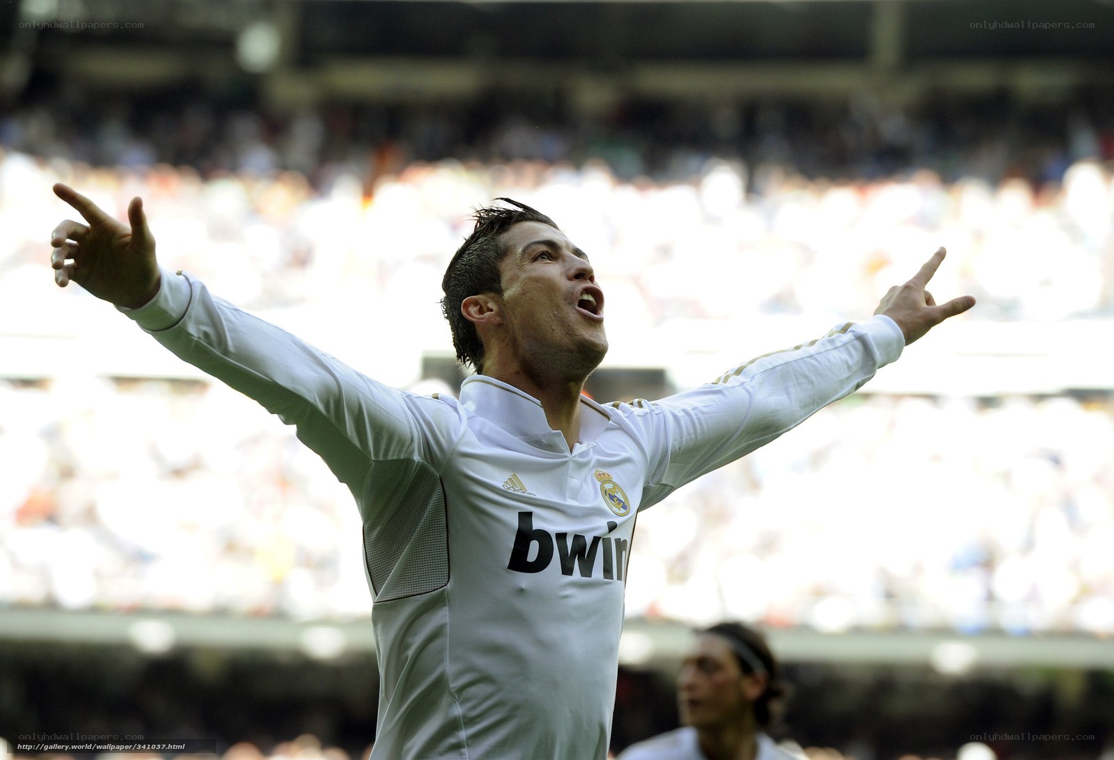 Cristiano Ronaldo celebrates goal
