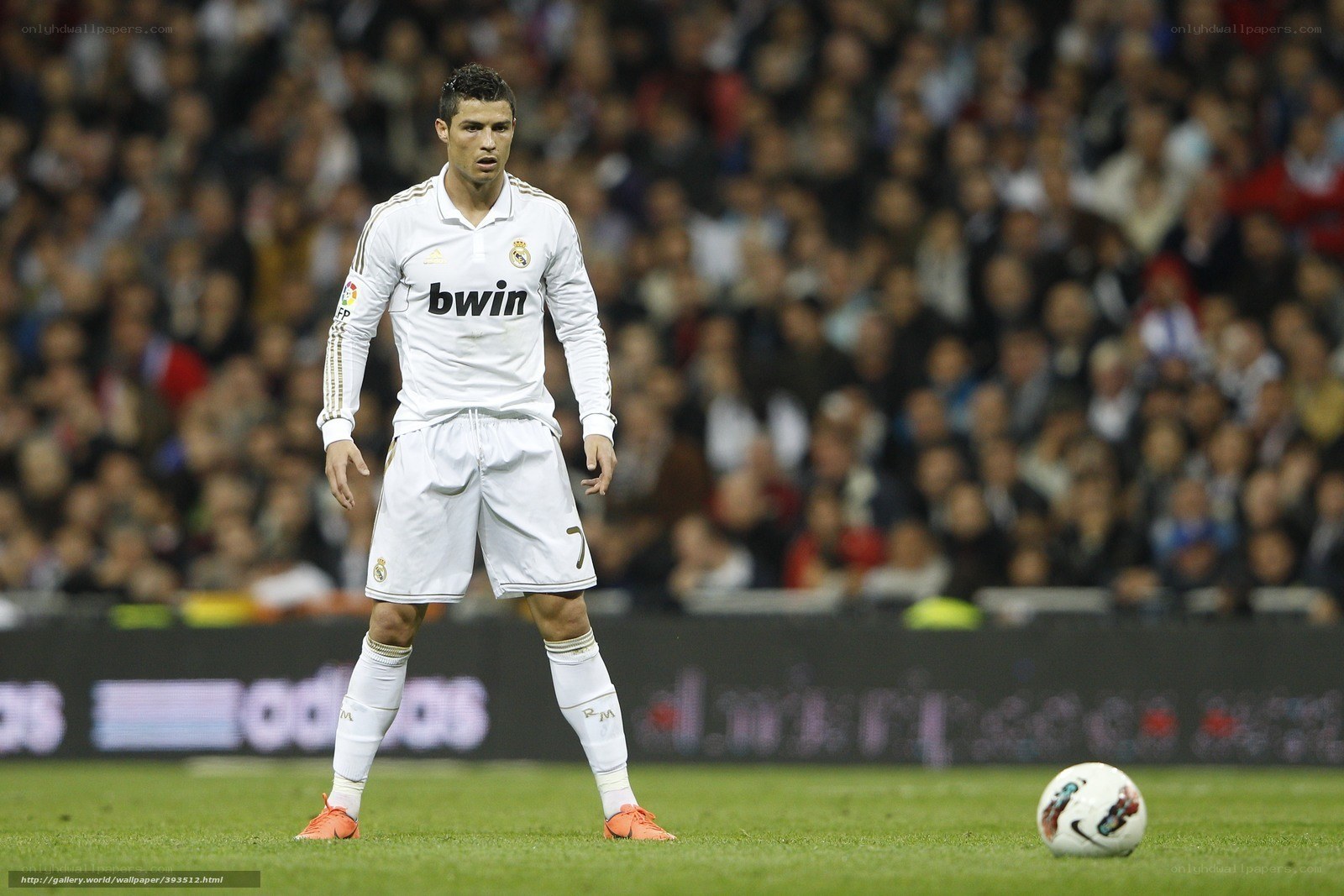 Cristiano Ronaldo on the field