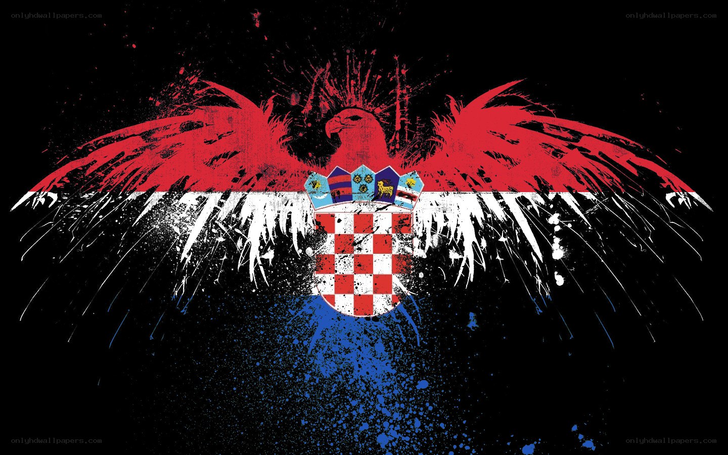 Croatian flag griffin art