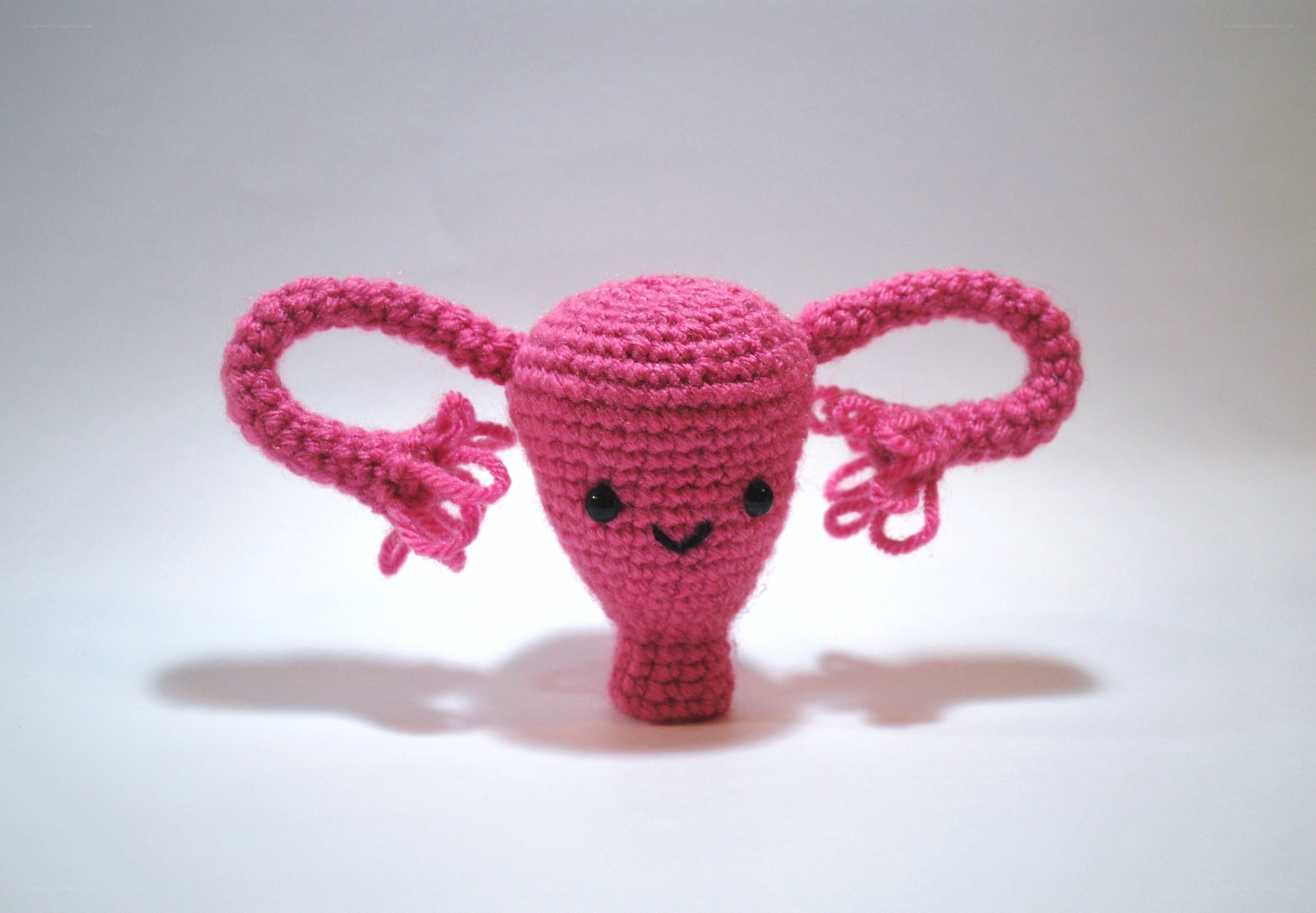 crocheted uterus toy