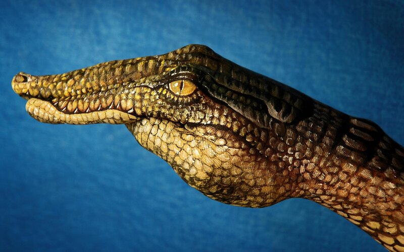 Crocodile Head — Blue, Dramatic, Photograph