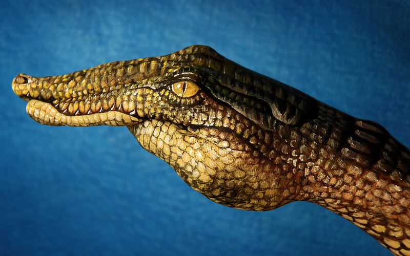 Crocodile Head — Blue, Dramatic
