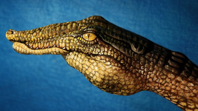 Crocodile Head — Brown