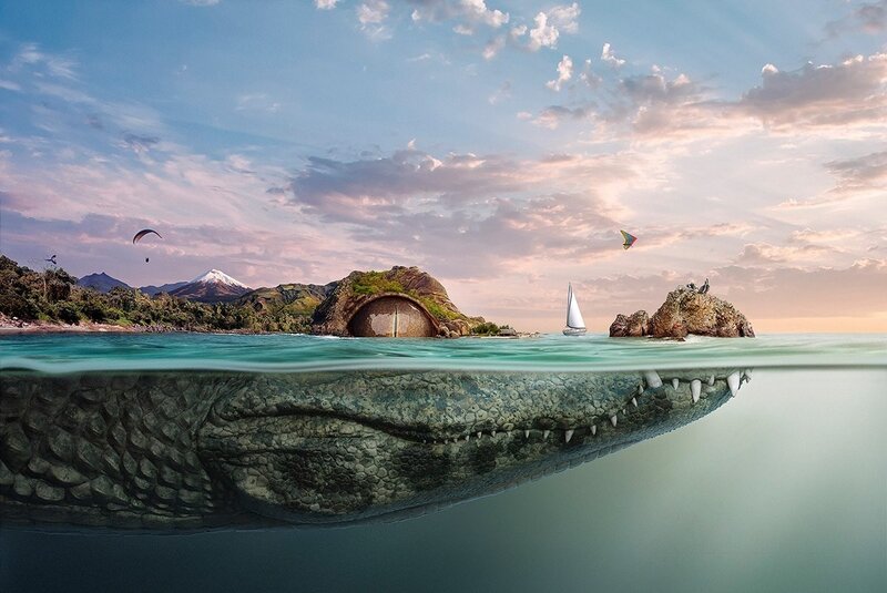Crocodile Head Underwater