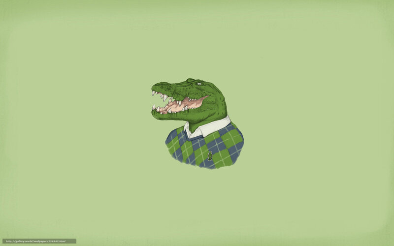Crocodile in Sweater