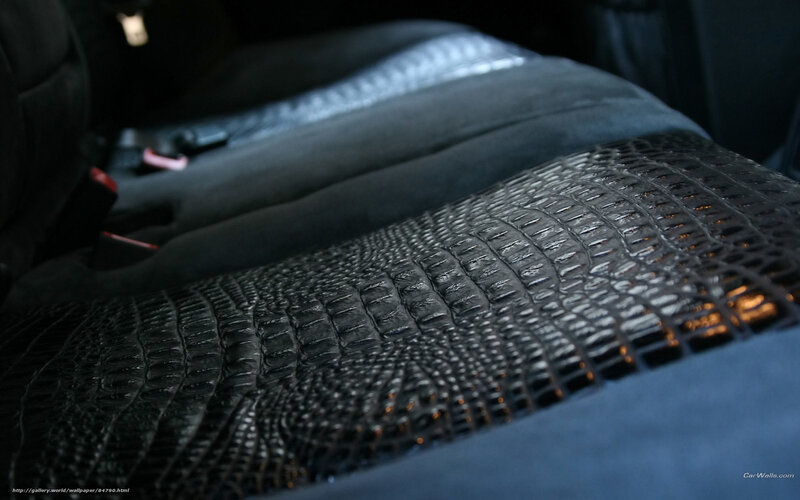 crocodile leather car seat