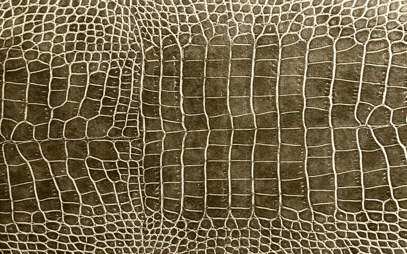 Crocodile Skin Texture — Brown, Neutral